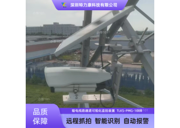 线路重要交跨在线监测装置_三跨视频监测_国网南网报价