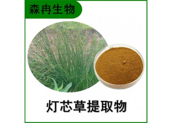 森冉生物 灯芯草提取物 龙须草提取物 比例提取原料粉