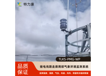 输电线路气象灾害预警装置 风速风向温湿度同步采集 智能报警