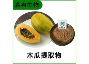 森冉生物 木瓜提取物 木瓜粉 木瓜酵素粉 植物提取原料粉
