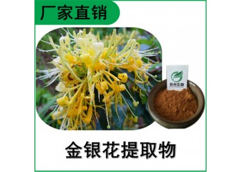 森冉生物 金银花提取物 忍冬花提取物 比例提取原料粉
