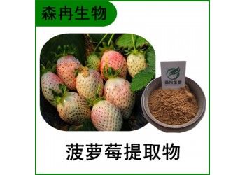 森冉生物 菠萝莓提取物 白草莓提取物 比例提取原料粉