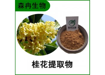 森冉生物 桂花提取物 木犀花提取物 比例提取原料粉